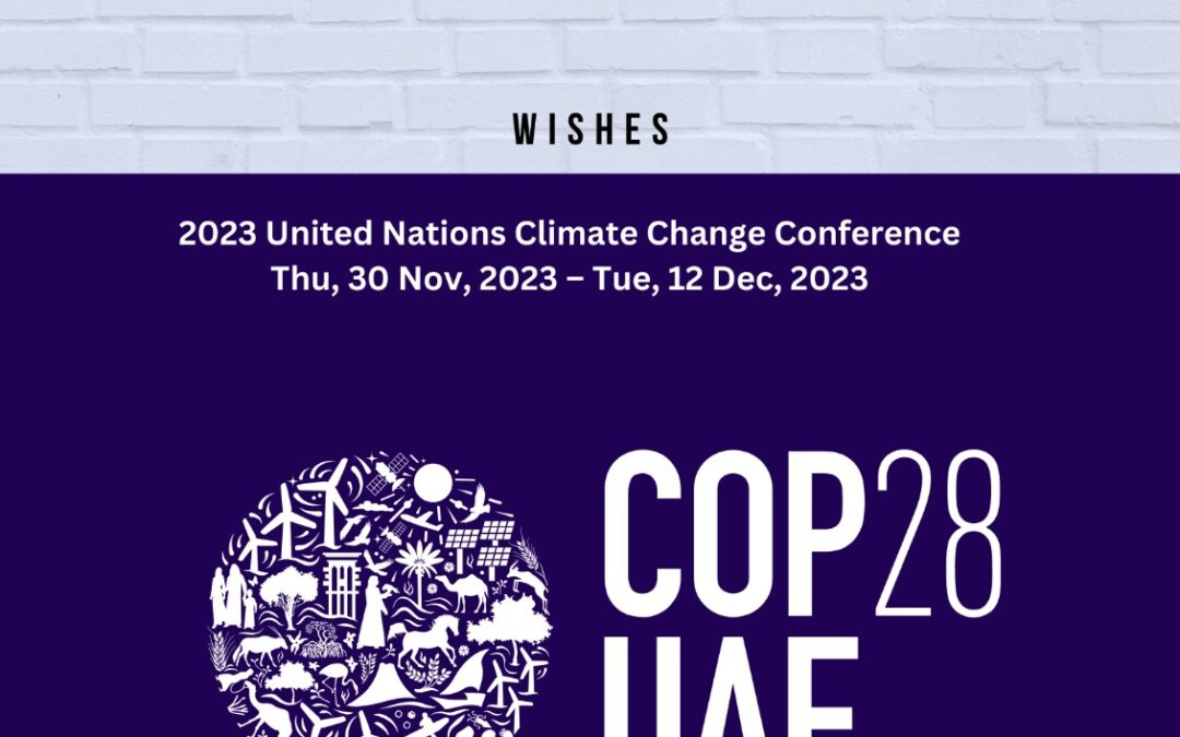 theigen wishes 2023 United Nations Climate Change Conference