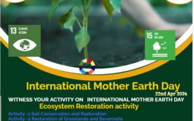 Witness your activity on International Mother Earth Day