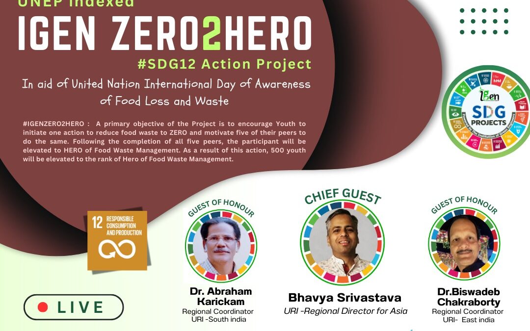 Join IGEN UNEP ZERO2HERO SDG12 Project