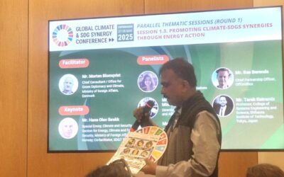 Proud to Participate in the UN Sixth Global Climate and SDG Synergies Conference